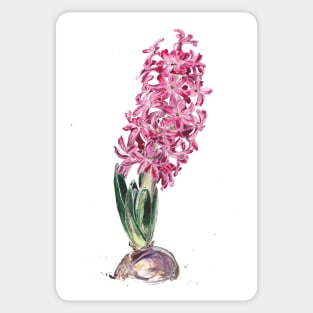 Hyacinth Sticker